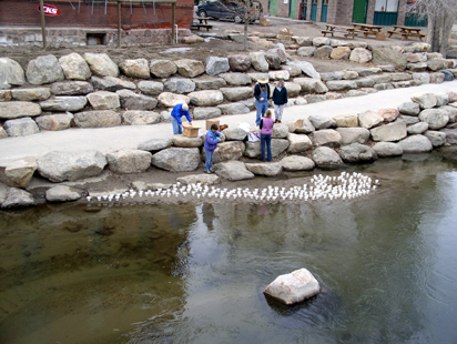 Arkansas River Installation Salida, Colorado